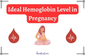 Ideal Hemoglobin Level in Pregnancy