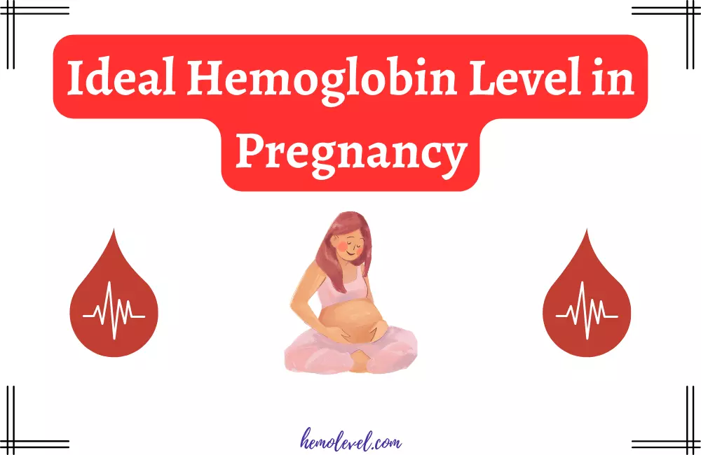 Ideal Hemoglobin Level in Pregnancy